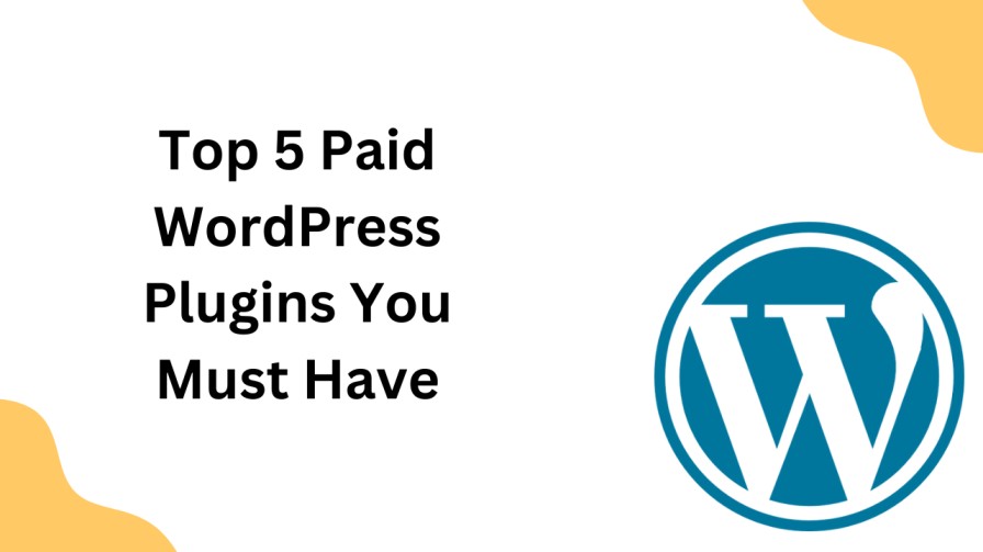 Paid-WordPress-Plugins